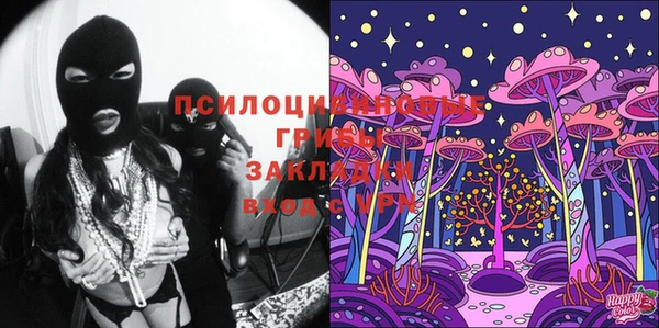 spice Верхний Тагил
