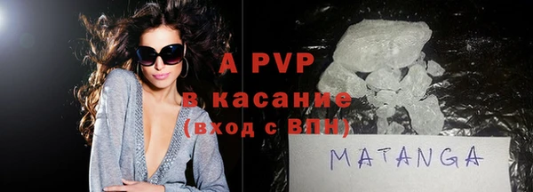 шишки Белокуриха