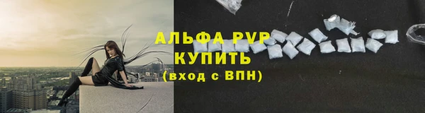 PSILOCYBIN Бородино