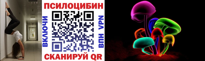 где продают   Зарайск  Псилоцибиновые грибы мухоморы 